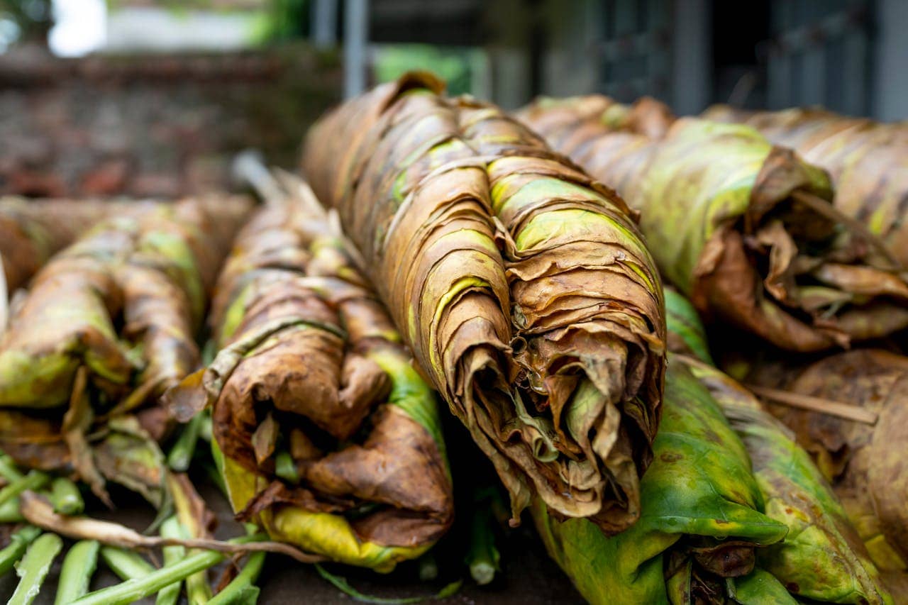 is whole leaf tobacco considered processed tobacco ttb Leaves About the Alcohol and Tobacco
