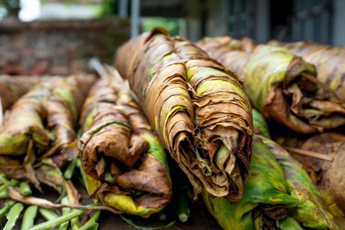 a pile of tobacco leaves